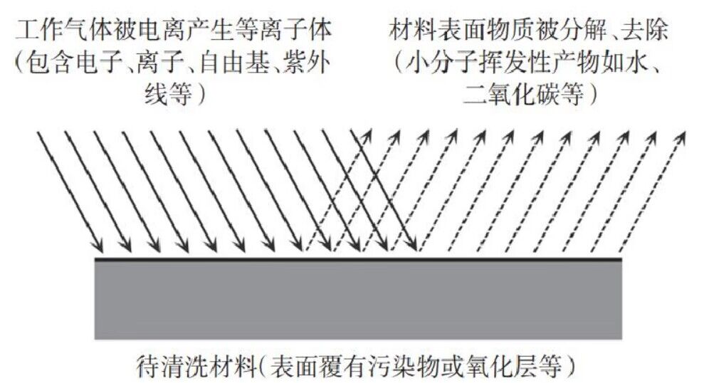 蜜桃人妻无码视频体清洗原理