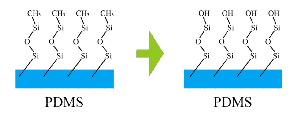 图1.1 PDMS 蜜桃人妻无码视频表面处理