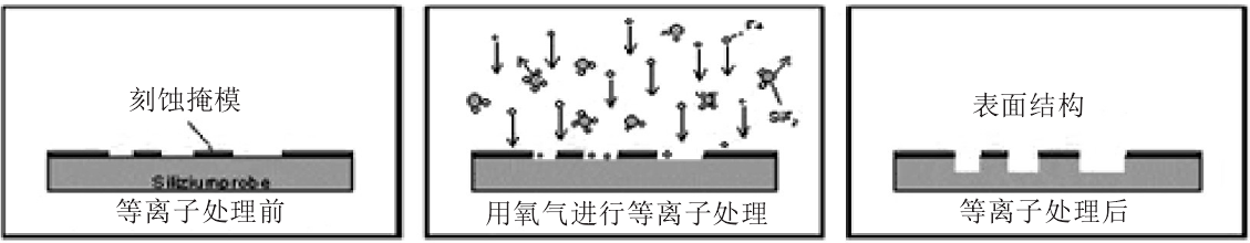 氧蜜桃人妻无码视频体刻蚀