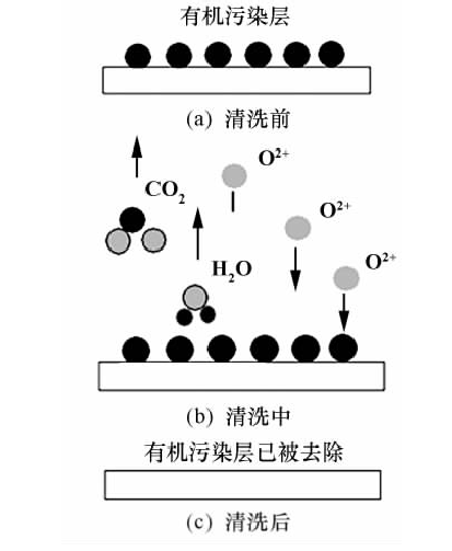 氧蜜桃人妻无码视频体清洗示意图