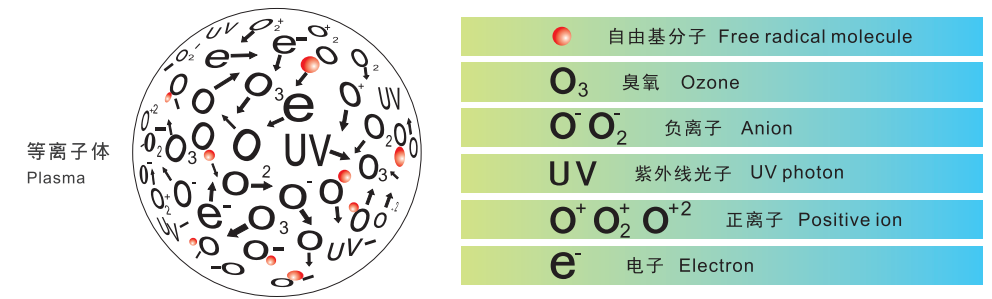 蜜桃人妻无码视频体