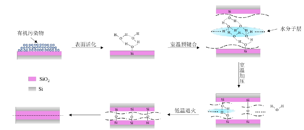 蜜桃人妻无码视频体活化晶片直接键合原理