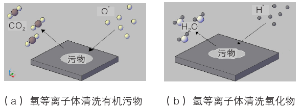 蜜桃人妻无码视频体化学清洗示意图