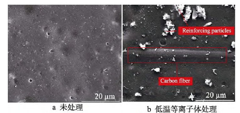 低温蜜桃人妻无码视频体处理前后复合材料表面 SEM图(a)未处理(b)